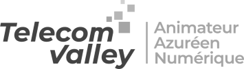 logo-telecom-valley